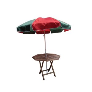 Rainco Umbrella